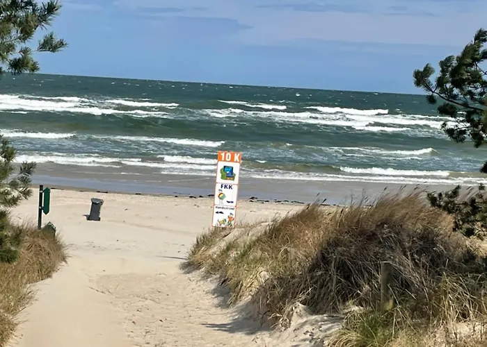 Finndorf Am Strand Mit Hund