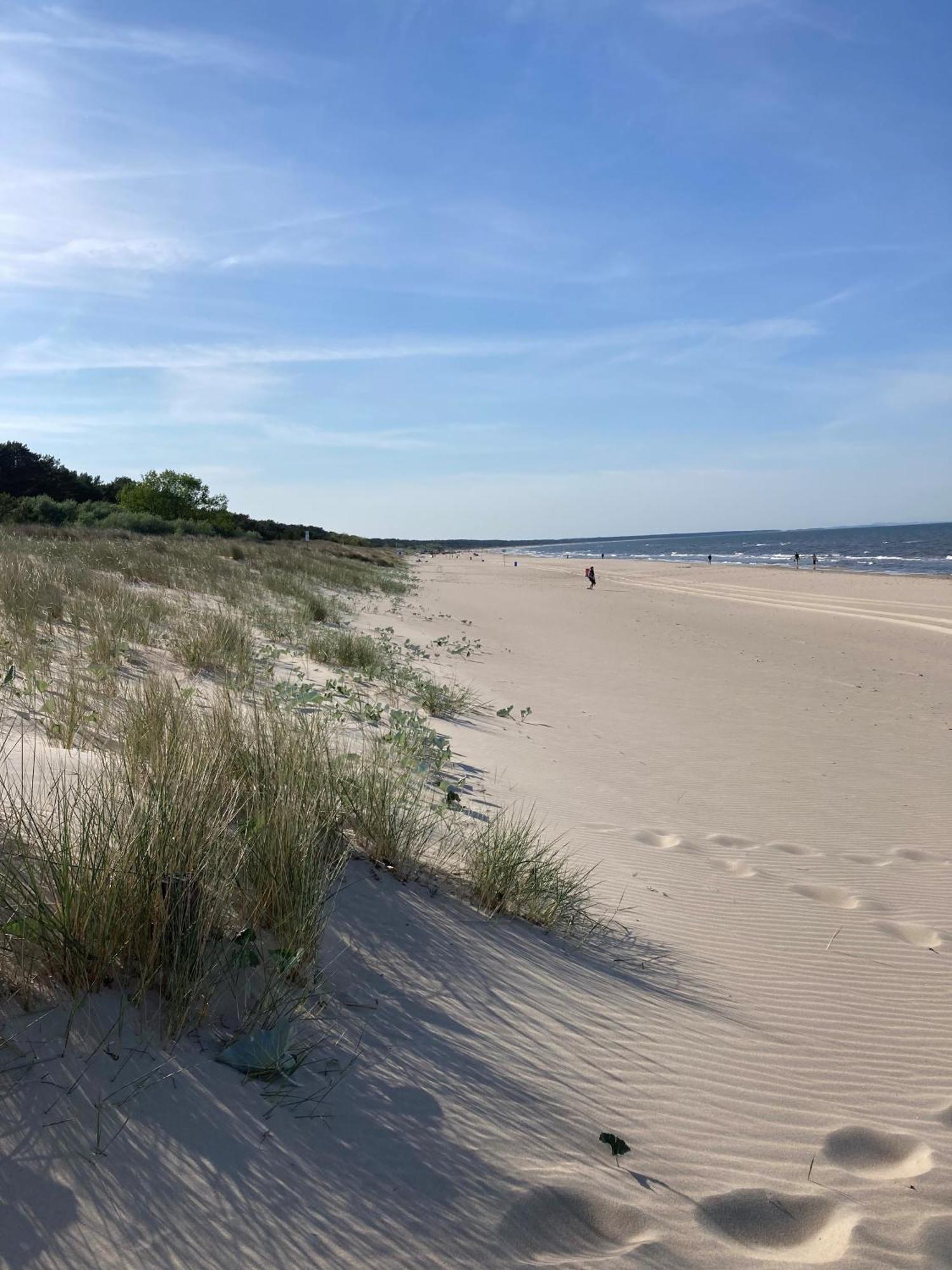 Finndorf Am Mit Hund