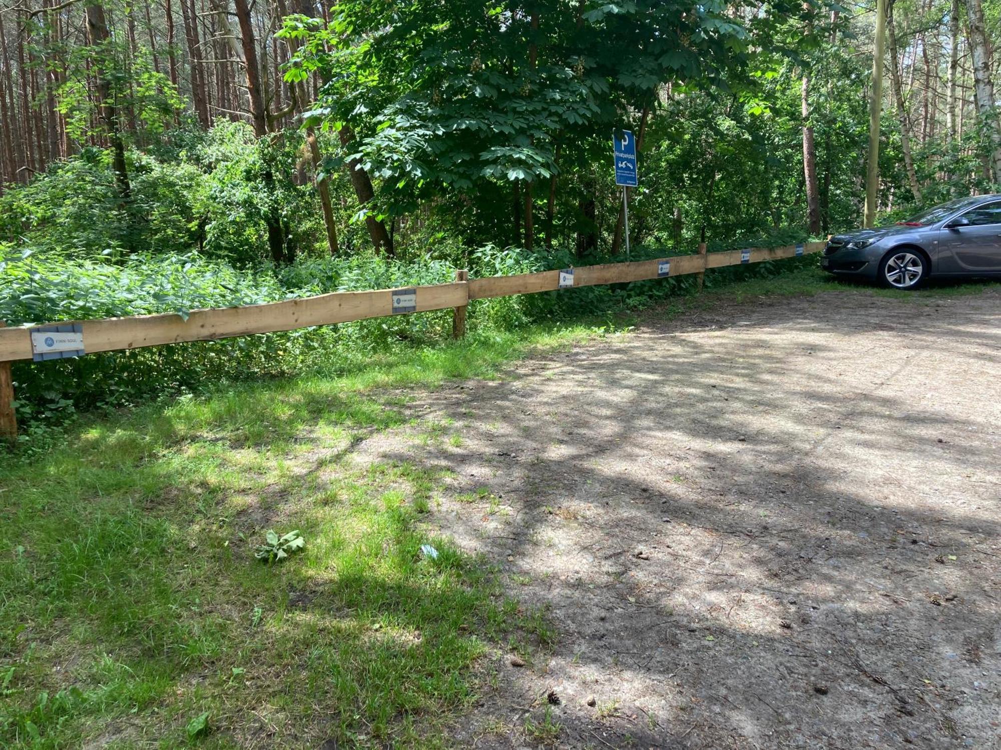 Finndorf Am Mit Hund